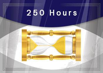 250 Hours Award